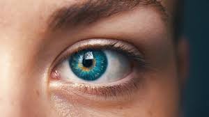 Why Eye Protector Capsules Are Your Best Defense Against Vision Problems?